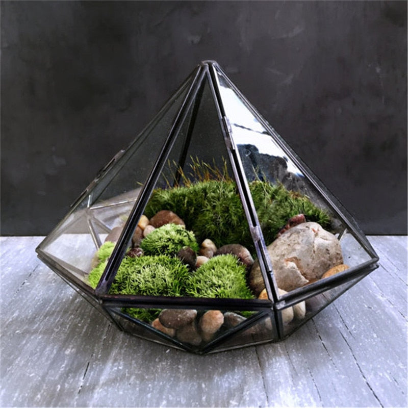 Glas Terrarium
