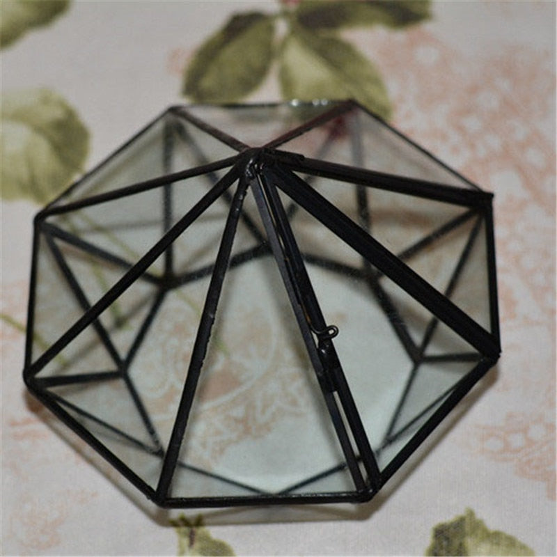 Glas Terrarium