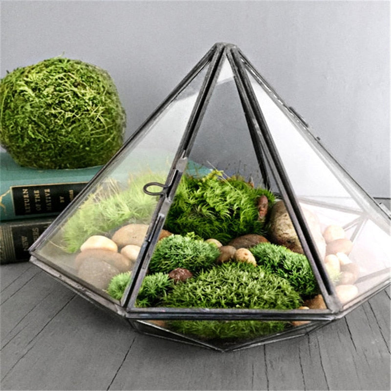 Glas Terrarium